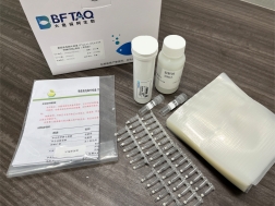 Taq®辣椒脉斑驳病毒(ChiVMV) TaqMan法RT qPCR核酸检测试剂盒