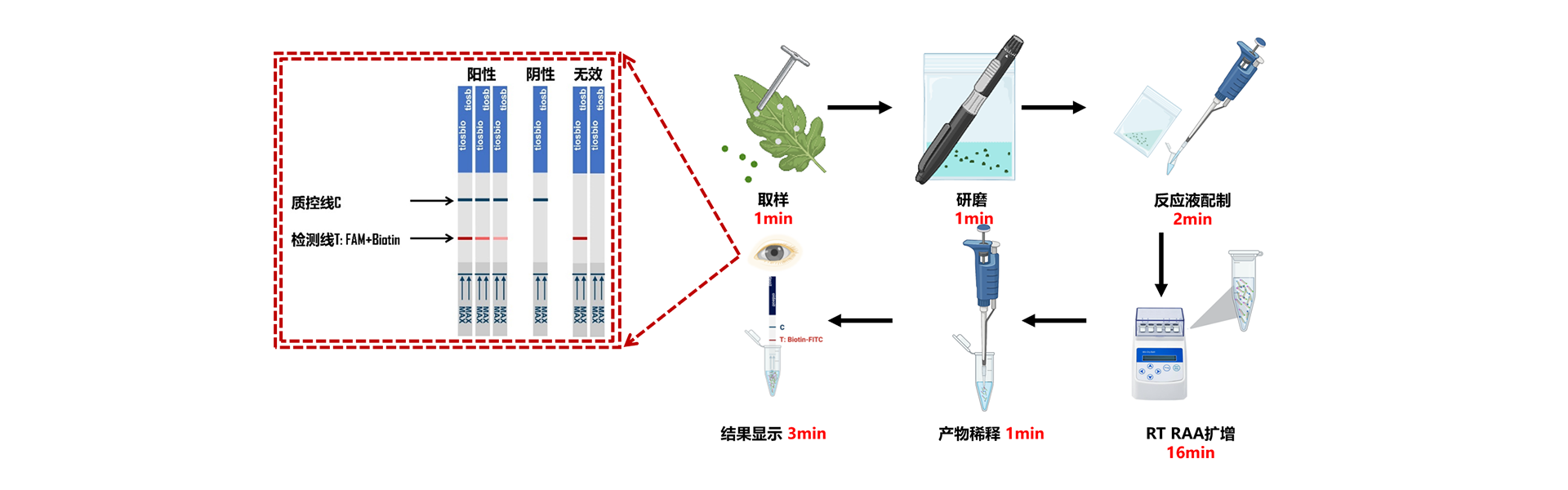 通栏图片