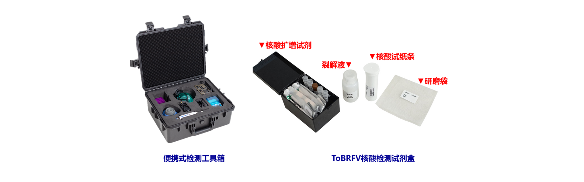 通栏图片