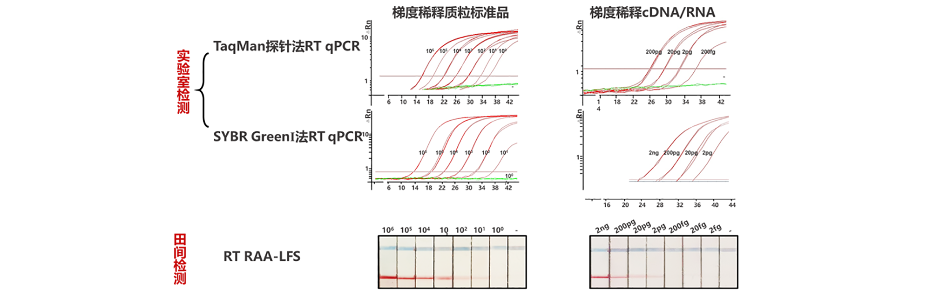 通栏图片