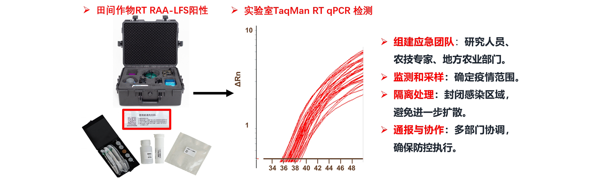 通栏图片